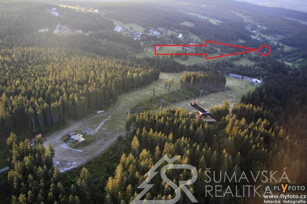 7188 stachy zadov.JPG