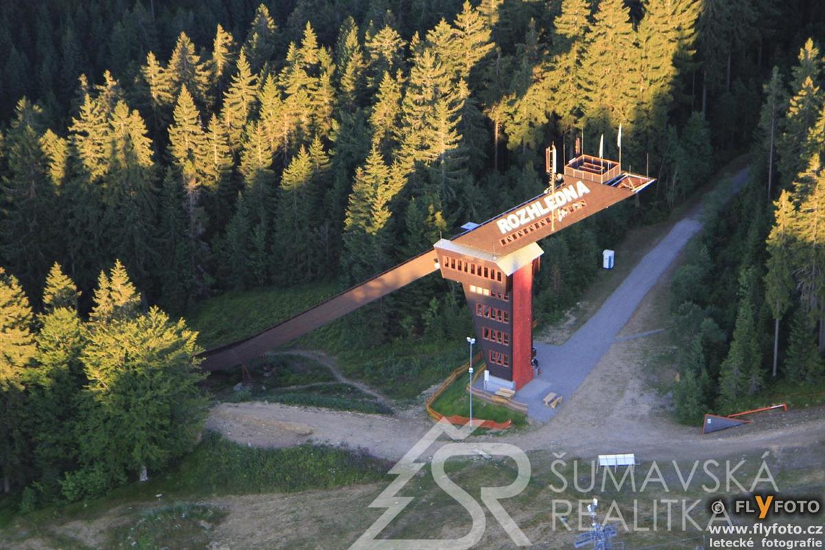 7194 stachy zadov.JPG