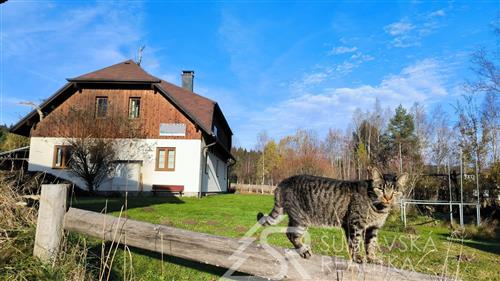 DŮM SE 6 APARTMÁNY V SRDCI ŠUMAVSKÉHO NÁR. PARKU – BOROVÁ LADA 1