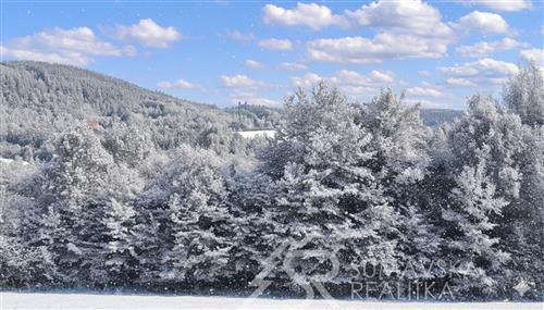 STAVEBNÍ POZEMEK S VÝHLEDEM NA ŠUMAVU O VÝMĚŘE 2272 m2, ZALUŽÍ U SUŠICE 1