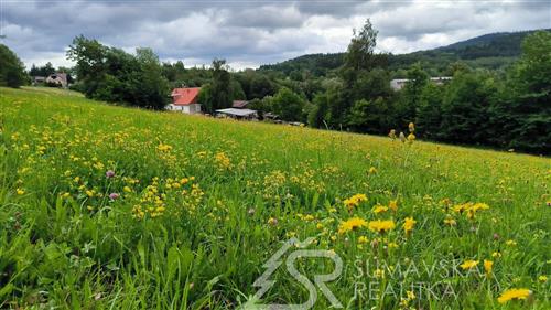 STAVEBNÍ POZEMEK S VÝHLEDEM NA ŠUMAVU O VÝMĚŘE 2272 m2, ZALUŽÍ U SUŠICE 1