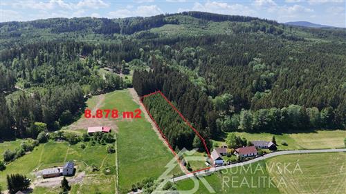 STAVEBNÍ POZEMEK NA ŠUMAVĚ, KDE I LES PATŘÍ VÁM 1